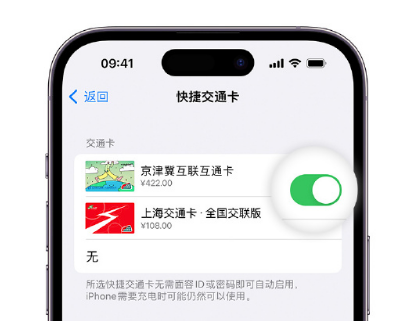 内丘apple维修点分享iPhone上更换Apple Pay快捷交通卡手绘卡面 