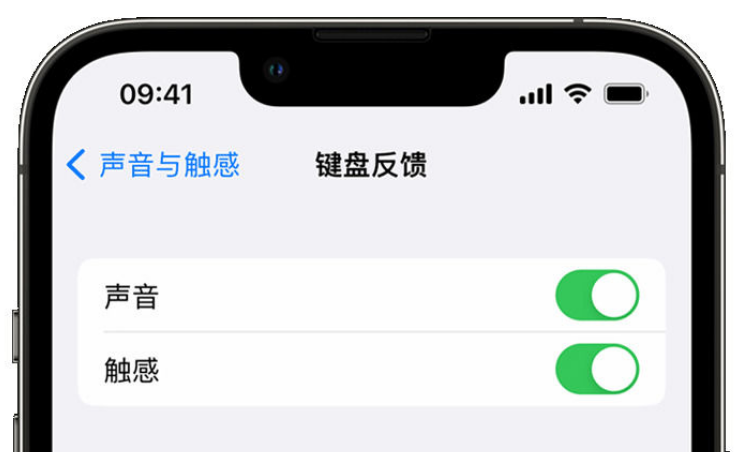 内丘苹果手机维修分享iPhone 14触感键盘使用方法 