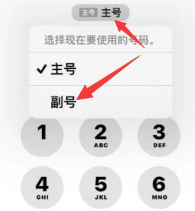 内丘苹果14维修店分享iPhone 14 Pro Max使用副卡打电话的方法 