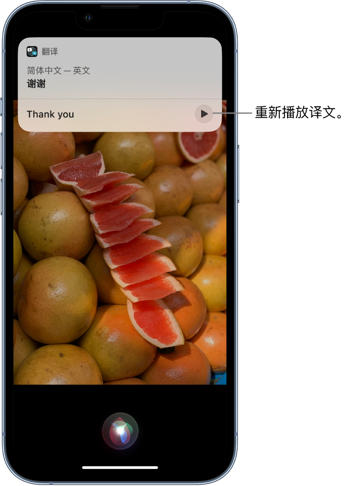 内丘苹果14维修分享 iPhone 14 机型中使用 Siri：了解 Siri 能帮你做什么 