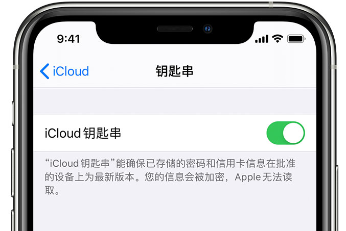 内丘苹果手机维修分享在 iPhone 上开启 iCloud 钥匙串之后会储存哪些信息 