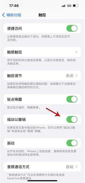 内丘苹果手机维修分享iPhone手机如何设置摇一摇删除文字 