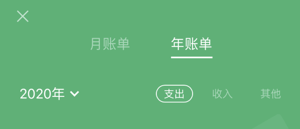 内丘苹果手机维修分享如何在 iPhone 上查看支付宝和微信年支出账单 