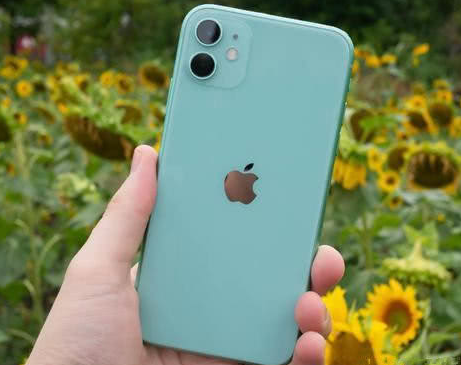内丘苹果维修点分享iPhone 11锁屏密码认知与使用科普 